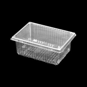 PET Food Packaging Transparent Box (Upper and Lower Cover)